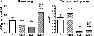 The Role of Estrogen in Anxiety-Like Behavior and Memory of Middle-Aged Female Rats